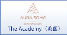 The Academy（英国）