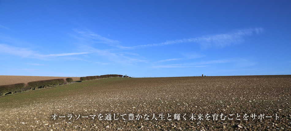 オーラソーマを通して豊かな人生と輝く未来を育むことをサポート